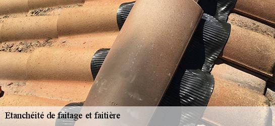 Etanchéité de faitage et faitière  06750