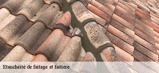Etanchéité de faitage et faitière  06750