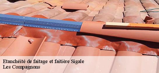 Etanchéité de faitage et faitière  06910