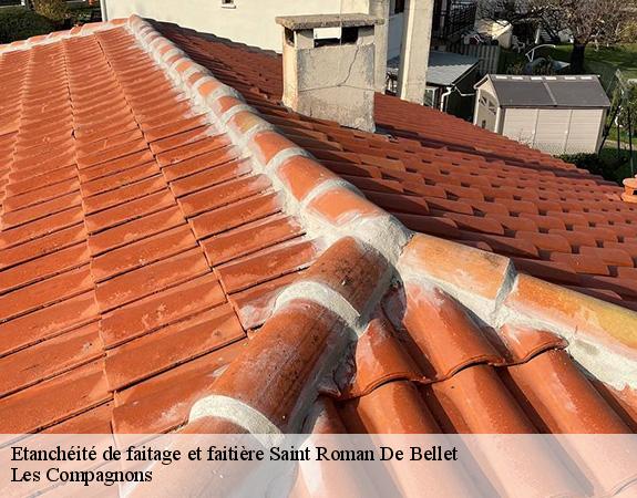 Etanchéité de faitage et faitière saint-roman-de-bellet-06200 Les Compagnons
