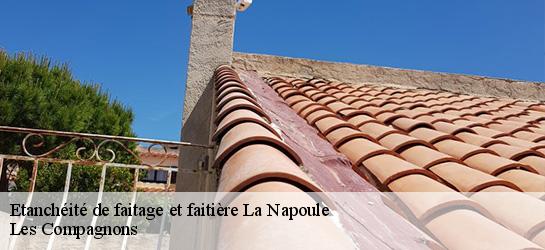 Etanchéité de faitage et faitière  06210