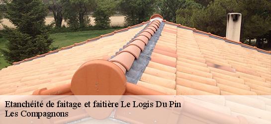 Etanchéité de faitage et faitière  06750