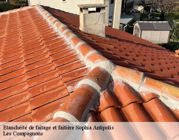 Etanchéité de faitage et faitière  sophia-antipolis-06560 Les Compagnons 