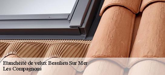 Etanchéité de velux 06310