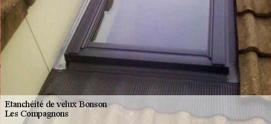 Etanchéité de velux  06830