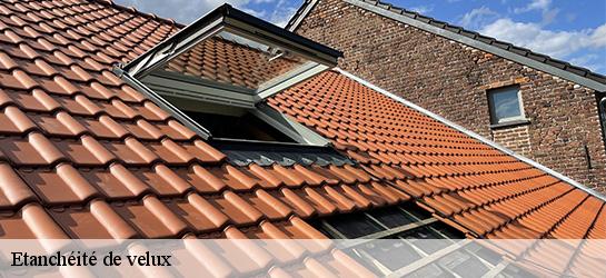 Etanchéité de velux 06510