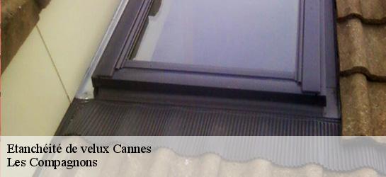 Etanchéité de velux 06400