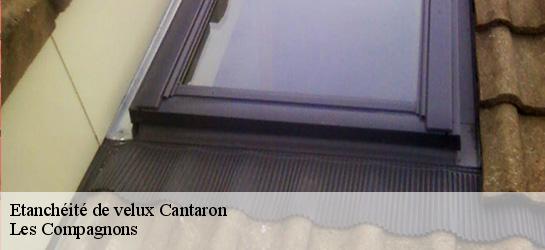 Etanchéité de velux  06340