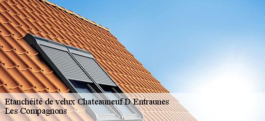 Etanchéité de velux  06470