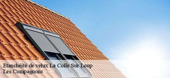 Etanchéité de velux  06480