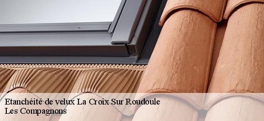 Etanchéité de velux  06260