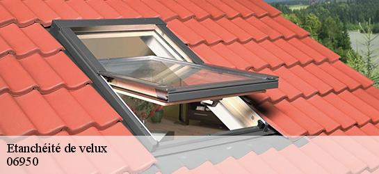 Etanchéité de velux  06950