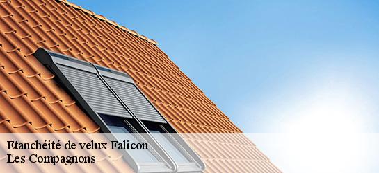 Etanchéité de velux  06950