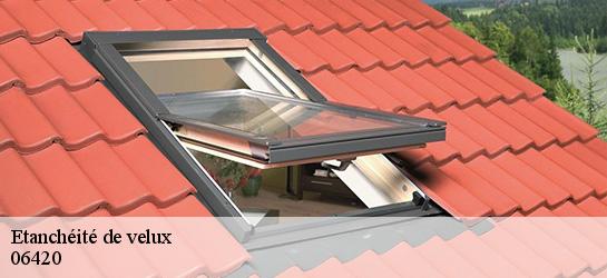 Etanchéité de velux  06420