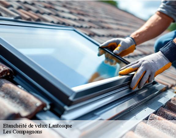 Etanchéité de velux  lantosque-06450 Les Compagnons 