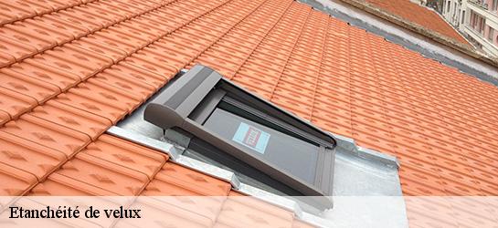 Etanchéité de velux  06450