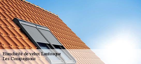 Etanchéité de velux  06450
