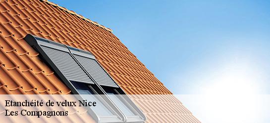 Etanchéité de velux  06000