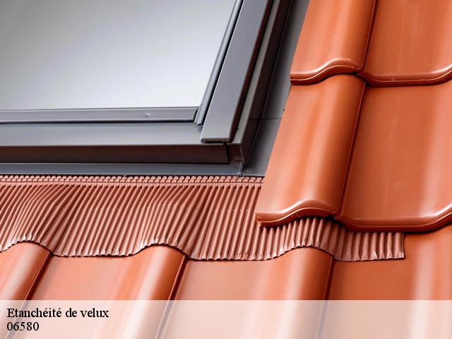 Etanchéité de velux  06580