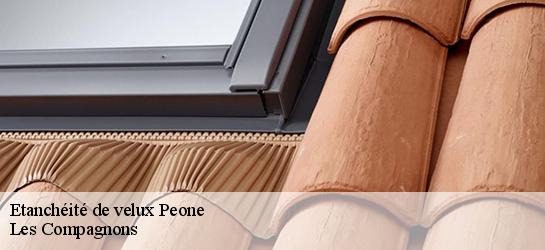 Etanchéité de velux 06470