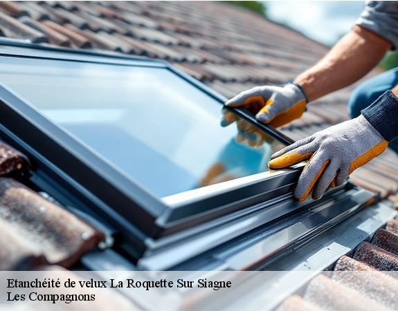 Etanchéité de velux  la-roquette-sur-siagne-06550 Les Compagnons 