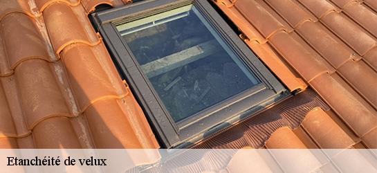 Etanchéité de velux  06730