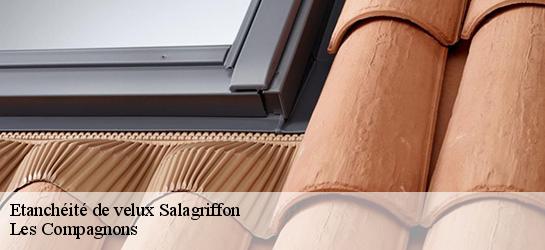 Etanchéité de velux  06910