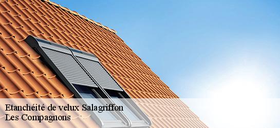 Etanchéité de velux  06910