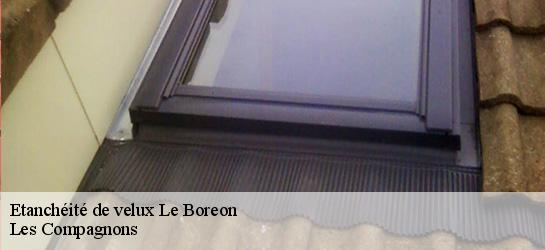 Etanchéité de velux  06450