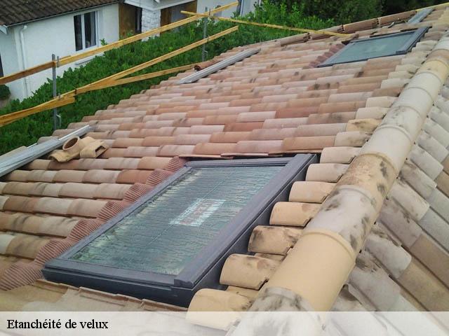 Etanchéité de velux  06130